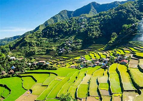 Manila to Banaue Rice Terraces .